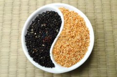 直線振動篩在芝麻除雜中的應(yīng)用